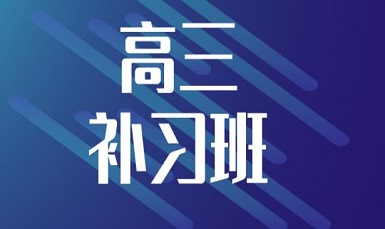 高三一对一辅导班