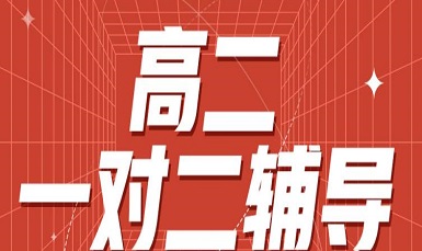 武汉高二一对一补习班