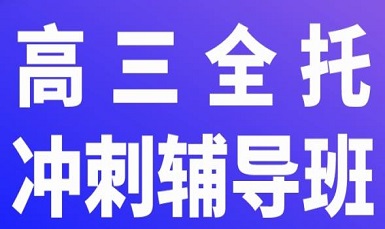 高三辅导补习班